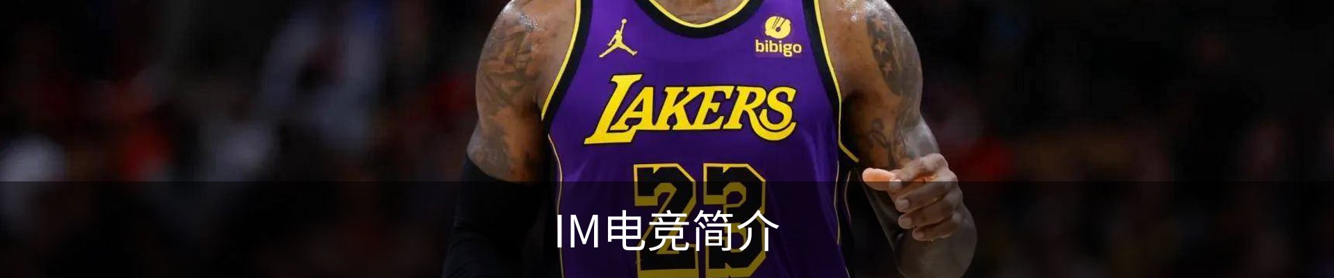 内页banner
